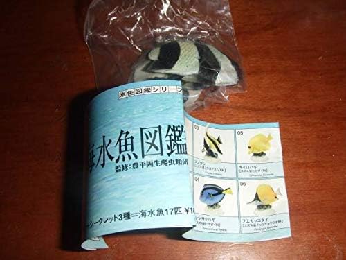 Amazon Co Jp 原色 海水魚図鑑 ミスジリュウキュウスズメダイyujin ホビー 通販