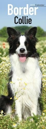 Border Collie Slim Calendar 2019 (Slim Standard) Calendar – 1 July 2018