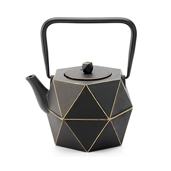 Toptier Cast Iron Teapot, Stovetop Safe Japanese Cast Iron Tea Kettle