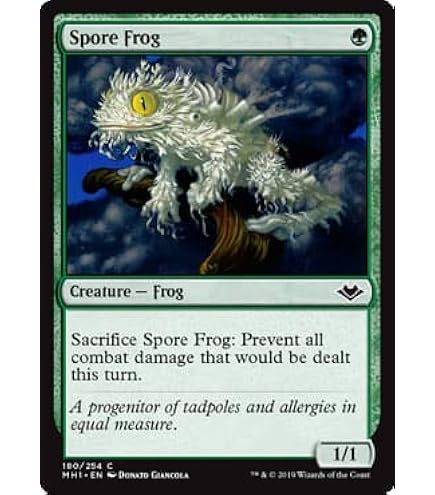 Amazon.com: Elite Frog MTG Deck - Simic Blue Green - Modern & Pioneer Legal  - Custom Built - Magic The Gathering - MTG
