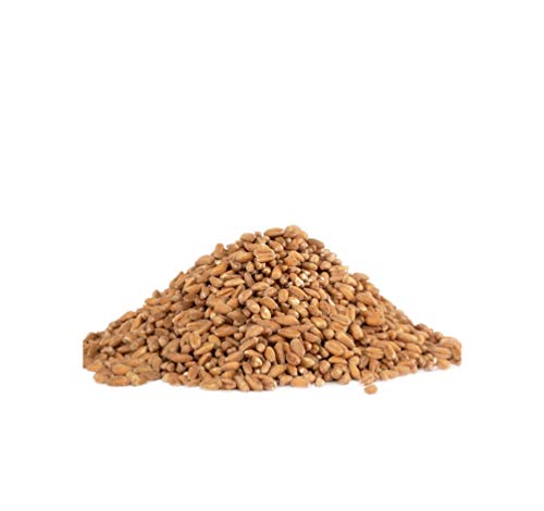 3 Bobs+Red+Mill+Organic+Farro