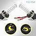 Innovited HID Xenon H1 6000K Replacement Bulbs (1 Pair) Diamond White