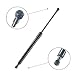 Truck Tailgate Assist Shock Struts Fits 2004-2014 for Ford F-150 Pickup 2006-2008 Lincoln Mark LT