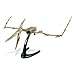 Geoworld Paleo Expedition Flying Monsters Excavation Kit-Pteranodon