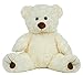 Recordable Bear with 30 second Digital Recorder
