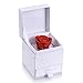 MARENJA-Christmas Women's Fashion Necklace-Heart Pendant Engraved I Love You and Preserved Fresh Rose in Jewelry Box-White Gold Plated Crystal Jewelry