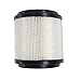 Podoy 7080369 Air Filter for Compatible with Polaris 250 Trail Boss 250 Trail Blazer 250 Xplorer 300 350L Big Boss 300 Xplorer Xpress 400 Big Boss 400 Sportsman 400L Sport 400 Xplorer 400 Xpress ATV