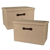 Nicely Neat Shelf Storage Folding Organizer Bin