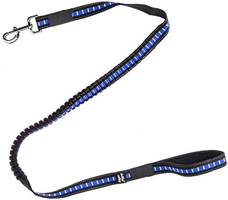 Mbangde Bungee Reflective Training Pet Leash for Small, Medium, Large and Extra Heavy Dogs Cats