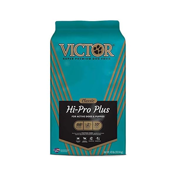 Victor Super Premium Dog Food HiPro Plus Dry Dog Food 30 Protein