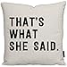 Daft Threads Funny Office Linen Throw Pillow Cover 18x18 inch (That’s What She Said)