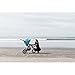 Bumbleride Indie All Terrain Stroller