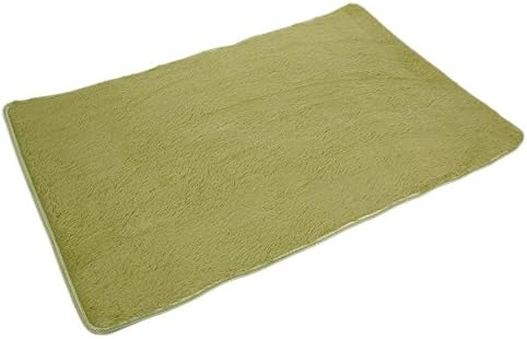 Fiber House Living Room Bedroom Carpet Anti-Skid Shaggy Area Rug Floor Mat