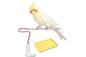 Quhoxdye Bird Perch Stand,Bendable Desktop Parrot Training Stand with Tray,Easy to Clean Bird Tabletop Platform Toy,Parakeets