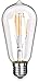 Edibulb LED Edison Bulbs Vintage Light Bulbs ST58 6W 2300K 3-Pack