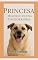 Livro Princesa: Memórias de Uma Cachorrinha : Uma História Emocionante