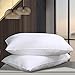 Cosydown Goose Down Alternative Pillows （2 Pack,Queen Soft） 100% Egyptian Cotton with Microfiber Filling Sleep Pillow,Washable，Hypoallergenic (Set of 2)
