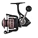 Penn PAS2500 Passion Lady's Spin