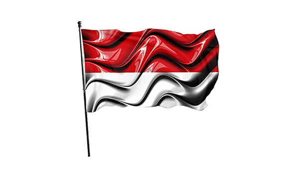 Amazon Com Vienna Flag States Of Austria Administrative Districts Flag 3x5 Feet Vivid Color And Fade Proof Tea Party Flags With Brass Grommets Canvas Header And Double Stitched