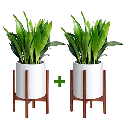 MoonLa 2 Pack Plant Stand Mid Century Wood Flower Pot Holder Display Potted Plant Holder Rack Rustic Planter Stand Up to 10 Inch (Plant and Pot NOT Included), Brown