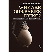 Why Are Our Babies Dying?: Pregnancy, Birth, and Death in America book cover