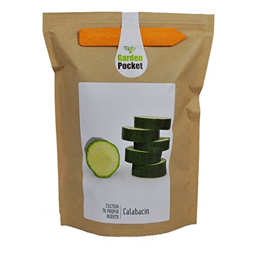 Kit de cultivo huerto urbano CALABACÍN: Amazon.es: Jardín
