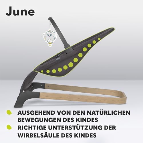 June Babywippe, ab den ersten Lebenstagen bis zu 9kg