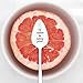Grapefruit Spoons, JUSTDOLIFE Grapefruit Dessert Spoons Stainless Steel Half Serrated Citrus Fruit Vintage Dessert Spoons Gift for Kitchen (4 Pack)
