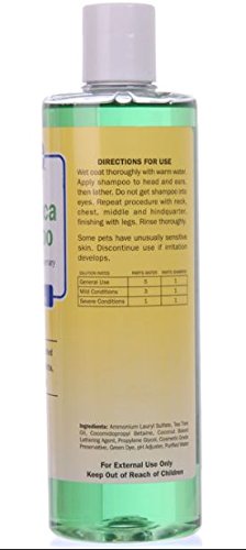 Davis Melaleuca Shampoo, 12 oz