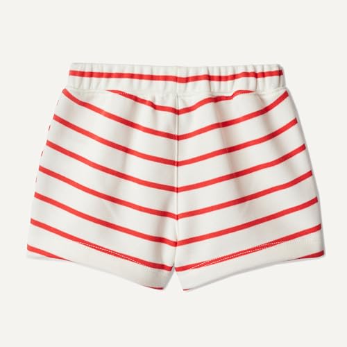 Amazon Essentials x Sofia Grainge Women's French Terry Knit Pull-On Shorts, Pack of 2