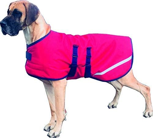 triple coated dog breeds