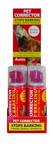 Company-of-Animals-Pet-Corrector