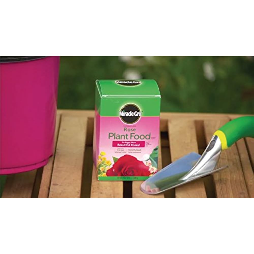 MiracleGro Rose Plant Food, 1.5Pounds (Rose Fertilizer) Grow Garden
