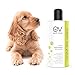 Earth Vibes Natural Oatmeal Dog & Cat Pet Shampoo & Conditioner, Dry Itchy Skin Relief for Dogs, Cats & Pets, Calming Aloe Vera, Made in USA, 16oz