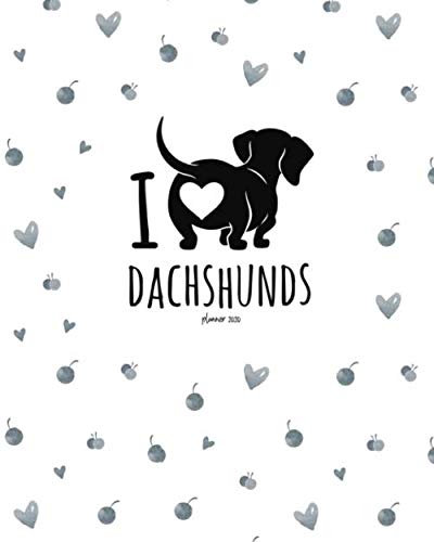 dog door double glazed glass