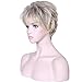 Deifor Short Messy Curly Synthetic Hair Natural As Real Hair Wigs for Daily Use (Brown Mix Blonde)