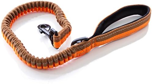 Stretchable Dog Leash with Reflective Stitching, Flex Nylon With Padded Comfort Handle Really Great For Dog &amp; Cat Training, Thick Metal Hook, 2 - 4 Feet, Bonus Waste Bag Dispenser- By WPS Pet supplies