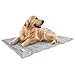 Animal Planet Cooling Gel Pet Mat, 30 x 24