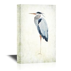 Heron Bird Wild Animal