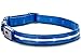 Blazin Light Up Dog Collar - The Original LED Dog Collar - USB Rechargeable - Waterproof - 1,000 Feet of Visibility - Dog Collar Light for Small, Medium, Large Dogs - USA Brand