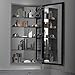 KOHLER K-2913-PG-SAA Catalan Mirrored Cabinet with 107° Hinge, 1, Satin Anodized Aluminum