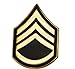 Staff Sergeant E6 Sgt SSgt US Army Rank pin