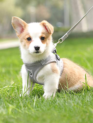 Cat Harness with Leash Set, Adjustable Soft Mesh Reflective Pet Harnesses, Extended Version of The Reflective Strip Harness,Suitable for Kittens, Puppies, Small Pets (L (Chest Girth:16.5"-18"), Grey)