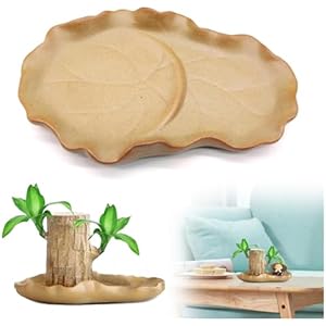 Plant Saucer for Potted Plants Brazilian Wood Green Plant Potted Flower Pot Lotus Leaf Flower Tray Pot Plant Trays for Indoors No Holes(Just Included Tray)