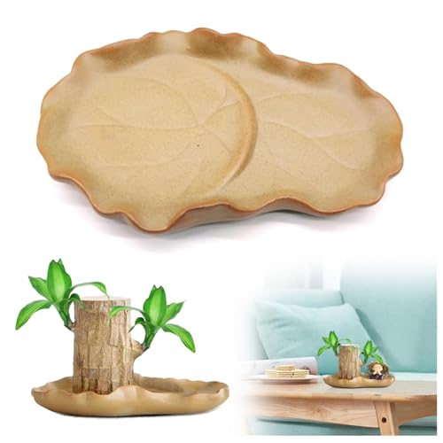Plant Saucer for Potted Plants Brazilian Wood Green Plant Potted Flower Pot Lotus Leaf Flower Tray Pot Plant Trays for Indoors No Holes(Just Included Tray)