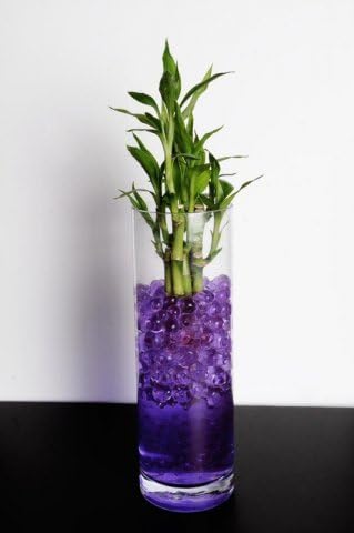 Rainbow Crystal Mud - Soil Beads - Colorful Soil Replacement for Flower Succulents and Centerpieces (Purple)