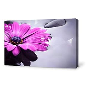 Canvas Wall Art for Living Room,Bedroom Home Artwork Paintings Orchid SPA Backgrounds Ready to Hang - 12x18 inches