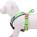 Blueberry Pet 4 Colors Soft & Comfy Summer Hope 3M Reflective Padded Dog Harness Vest, Chest Girth 18.5