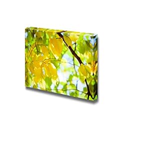 Canvas Prints Wall Art - Yellow Autumn Leaves on The Tree with Sunlight | Modern Wall Decor/Home Decoration Stretched Gallery Canvas Wrap Giclee Print & Ready to Hang - 12" x 18"