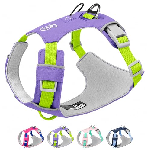 Dog harness deal example